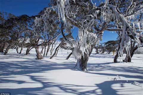 Hình ảnh Australia