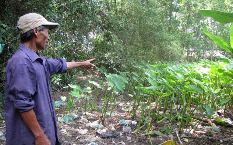 Hoang mang tột độ khi sống cạnh những kho thuốc độc