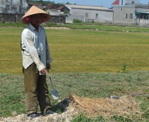 Đi bắt cua, cháu bé 11 tuổi bị rắn độc cắn chết