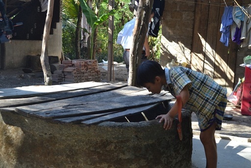 ‘Chảo lửa’ đồng khô, cỏ cháy trong nắng nóng 41 độ