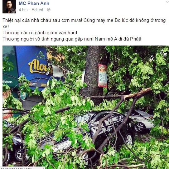Xe ôtô của MC Phan Anh bị cây đè trong trận gió lốc chiều qua
