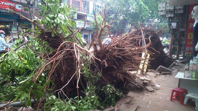 “Cơn dông” hay “cơn giông”?