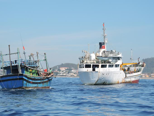 Bị tàu hàng đâm, 4 ngư dân Quảng Nam thương vong