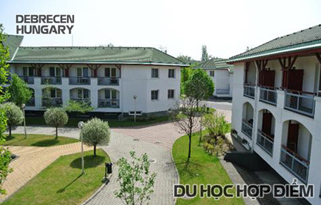 Học bổng ĐH công lập Debrecen, Hungary