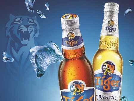 Đêm hội Tiger ‘đánh thức’ bản lĩnh giới trẻ miền Bắc