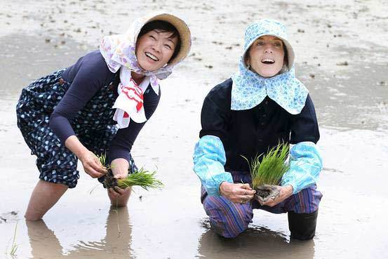 Xem Đại sứ Mỹ và đệ nhất phu nhân Nhật đi cấy