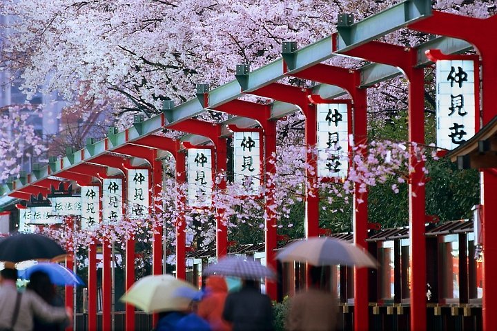 Có 1 tỷ đồng, tôi sẽ cho con du học