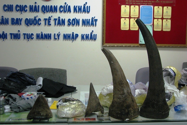 Sừng tê giác bị tiêm độc: Dân giàu Việt Nam vẫn mua