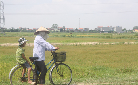 Chuyện khó tin bên 'bờ xôi ruộng mật' ở Hưng Yên