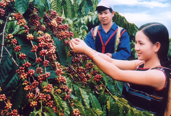 Kinh tế Tây Nguyên khởi sắc nhờ nâng cấp đường Hồ Chí Minh