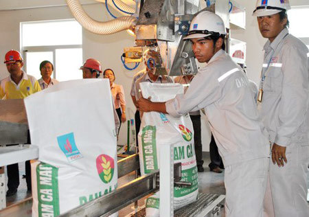 Đạm Cà Mau không tăng giá ure