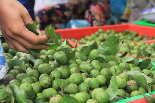 Những cách dùng sấu chữa bệnh ít người biết