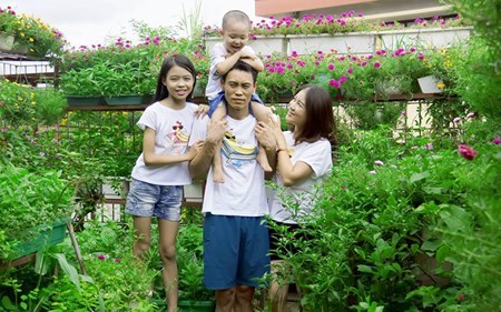 Vườn rau sạch trên sân thượng khiến nhiều người mơ
