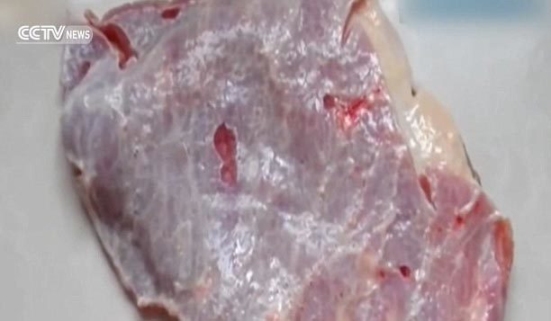 Kinh hãi với miếng thịt cắt rời vẫn co giật như quả tim