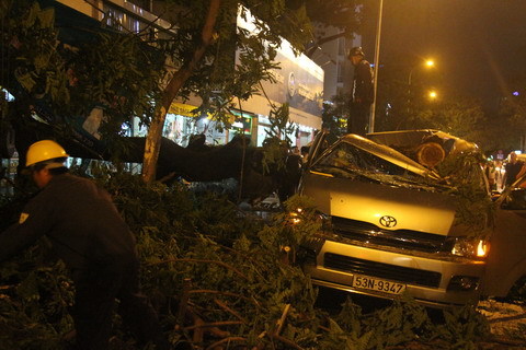 Cây đổ đè bẹp ô tô, tài xế thoát chết gang tấc