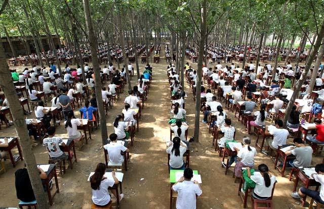 Hình ảnh 800 học sinh ngồi thi trong rừng
