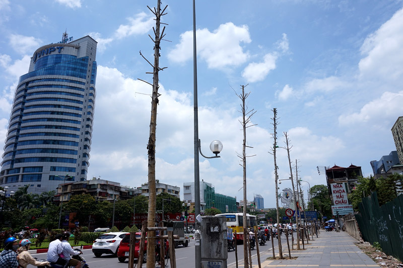 Hà Nội xây dựng phần mềm quản cây xanh