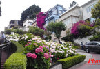 Con đường hoa nổi tiếng thế giới ở San Francisco