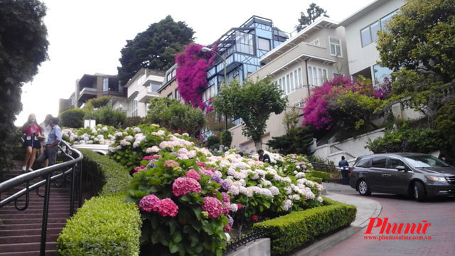 Con đường hoa nổi tiếng thế giới ở San Francisco