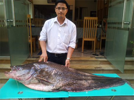 Nhậu Hà Nội: Xẻ thịt con cá Leo 62kg