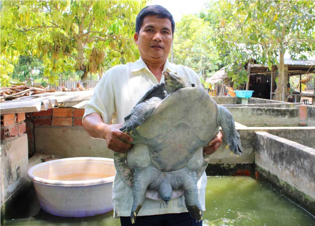 Cua đinh 'khủng' giá nghìn đô