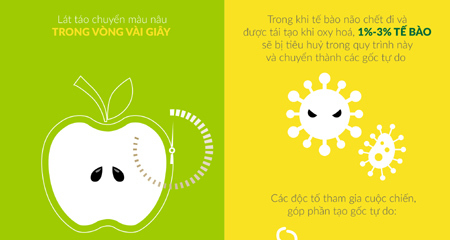 Cuộc chiến ‘hại não’ mỗi ngày trong cơ thể