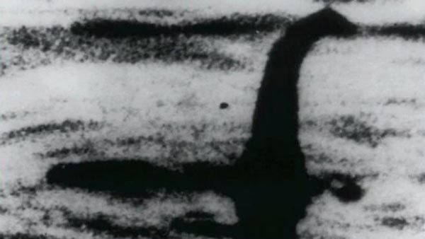 Quái vật Loch Ness thực chất là cá nheo khổng lồ?