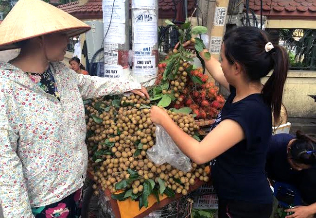 Chưa vào vụ, nhãn lồng Hưng Yên 'đểu' bán khắp phố