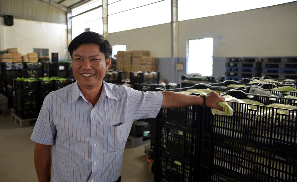 Ông chủ HTX đưa từng gánh rau bỏ chợ