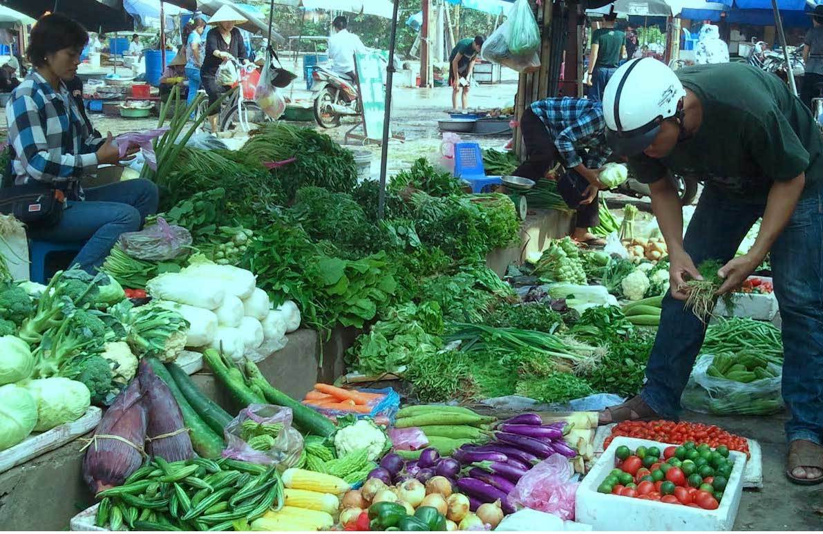 Dân buôn Hà Nội gom rau bán về Quảng Ninh lãi đậm