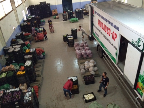 Bên trong hợp tác xã triệu đô