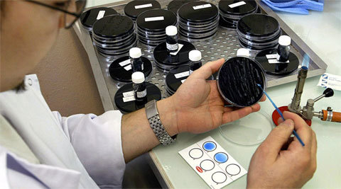 Dịch bệnh chết người bùng phát ở New York