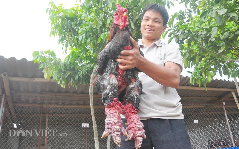 'Hoa hậu' ngàn đô của ông chủ ở xã 50 tỷ phú